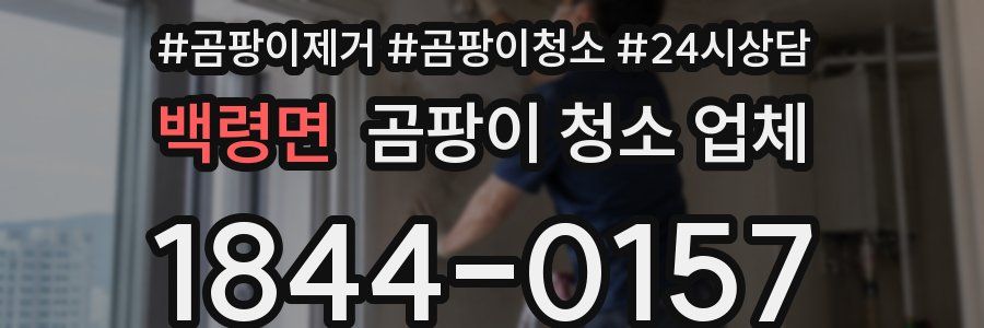 백령면 곰팡이 청소 업체