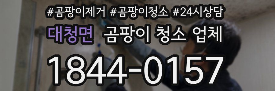 대청면 곰팡이 청소 업체