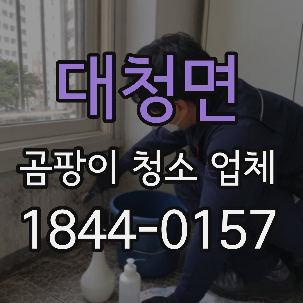 대청면 곰팡이 청소 업체
