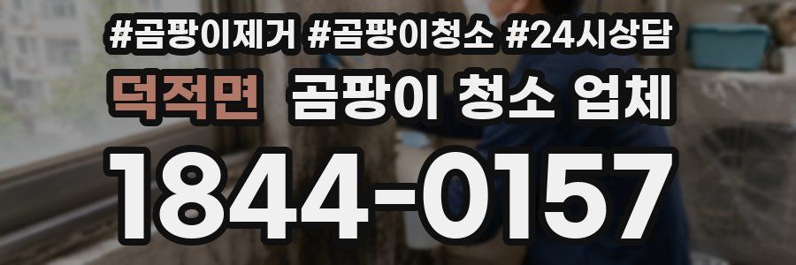 덕적면 곰팡이 청소 업체