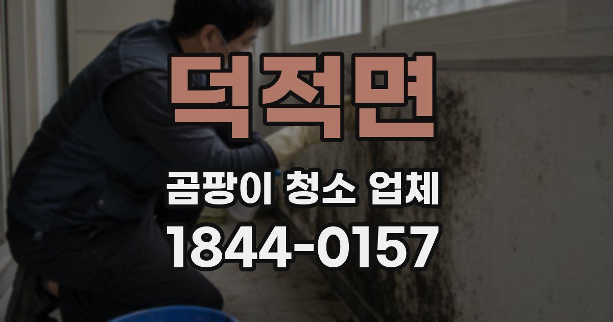 덕적면 곰팡이 청소 업체