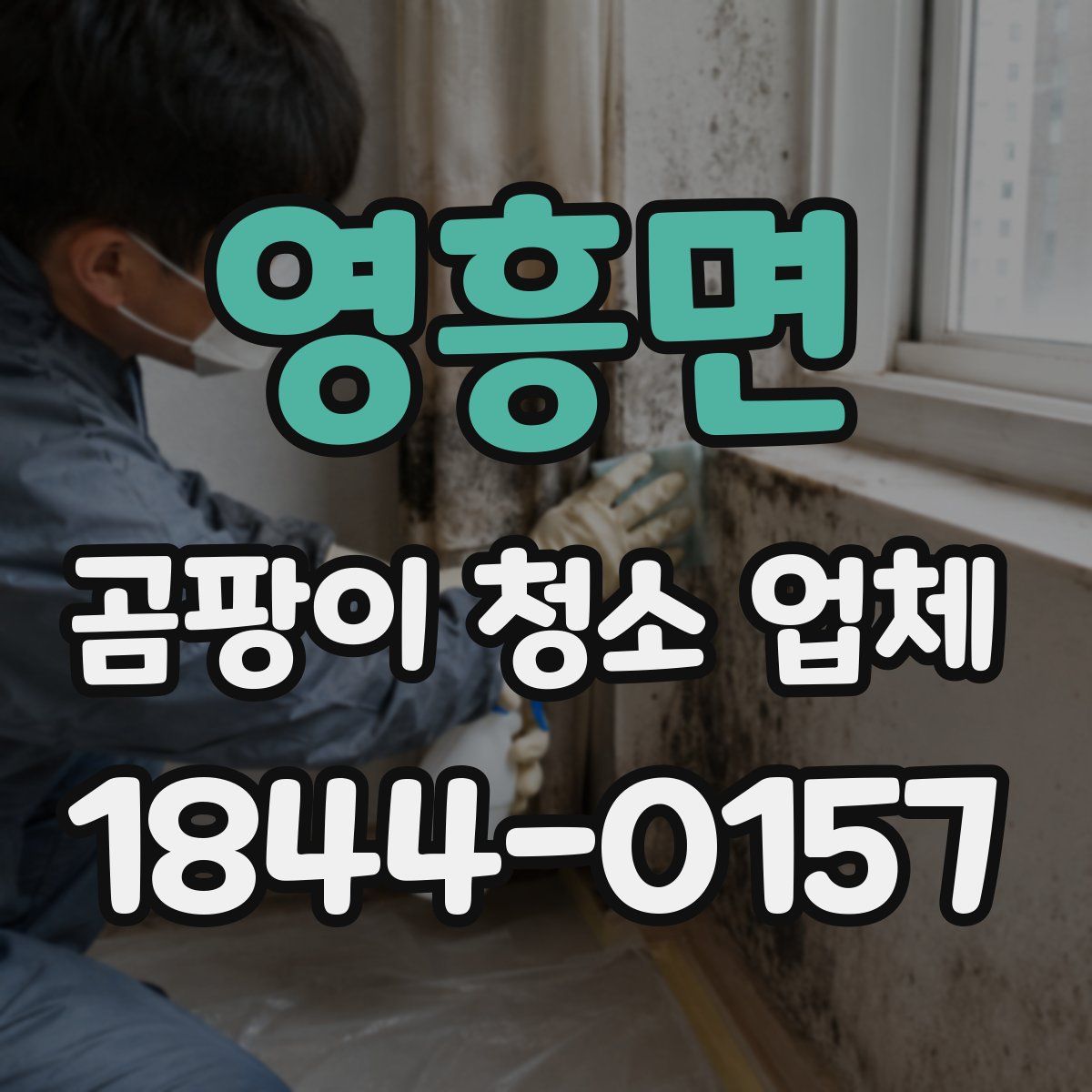 영흥면 곰팡이 청소 업체