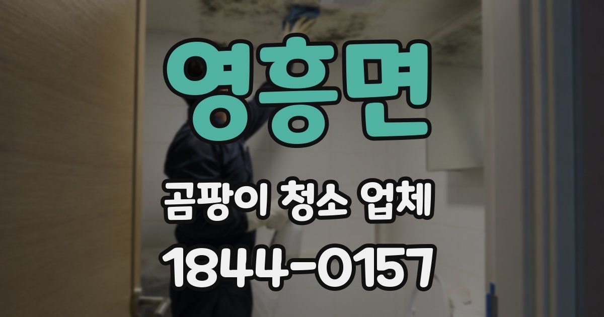 영흥면 곰팡이 청소 업체