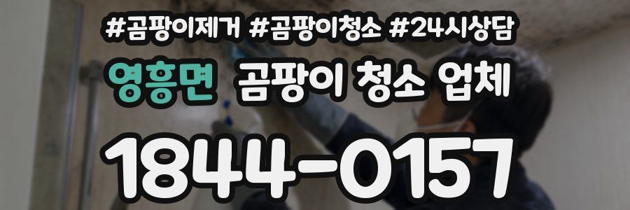 영흥면 곰팡이 청소 업체