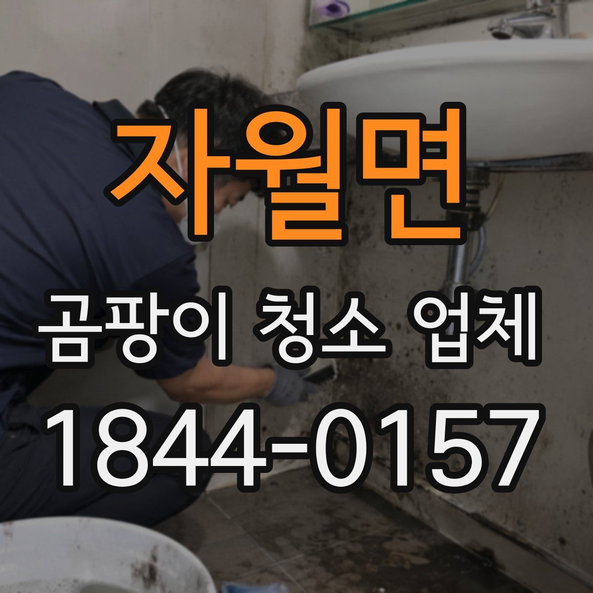 자월면 곰팡이 청소 업체
