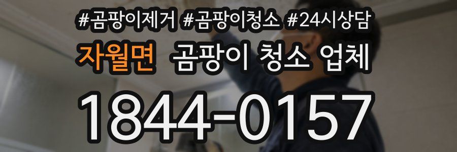 자월면 곰팡이 청소 업체