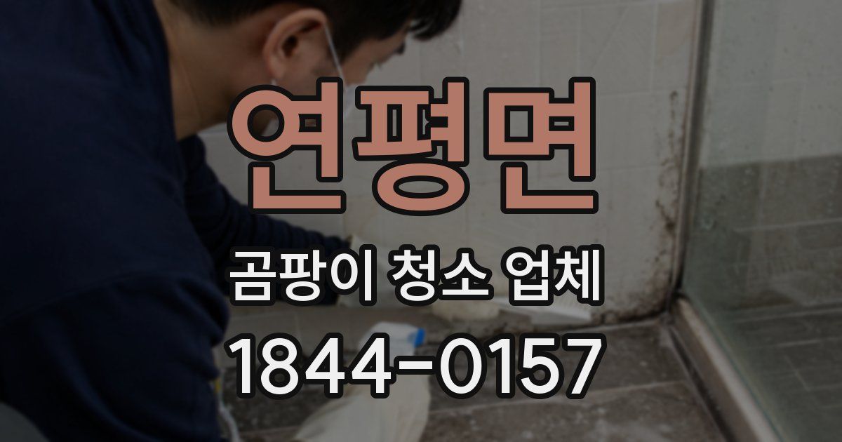 연평면 곰팡이 청소 업체