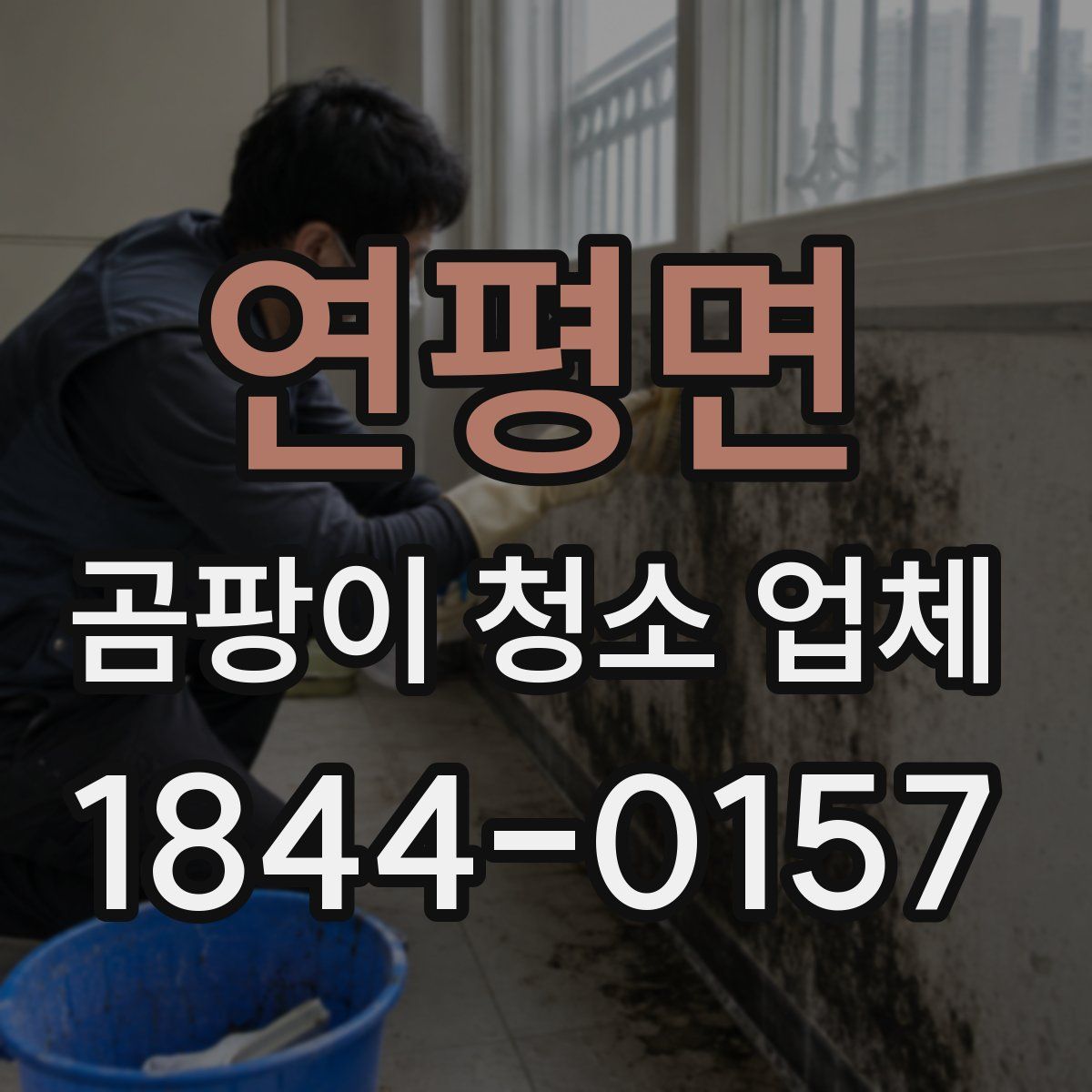 연평면 곰팡이 청소 업체