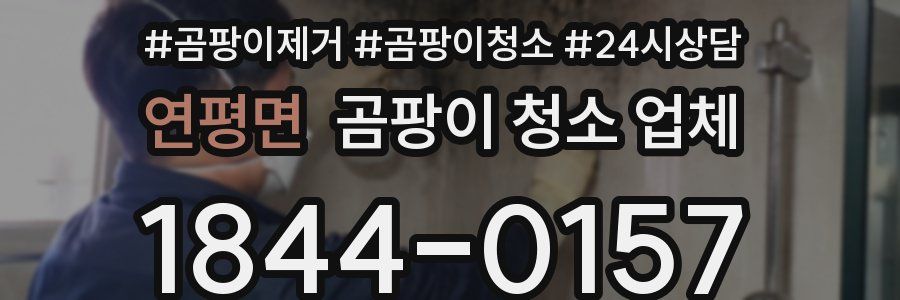 연평면 곰팡이 청소 업체