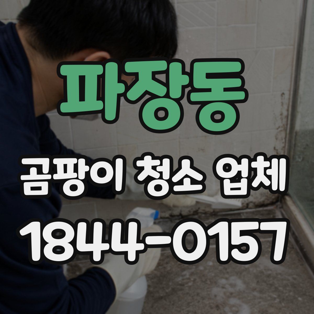 파장동 곰팡이 청소 업체