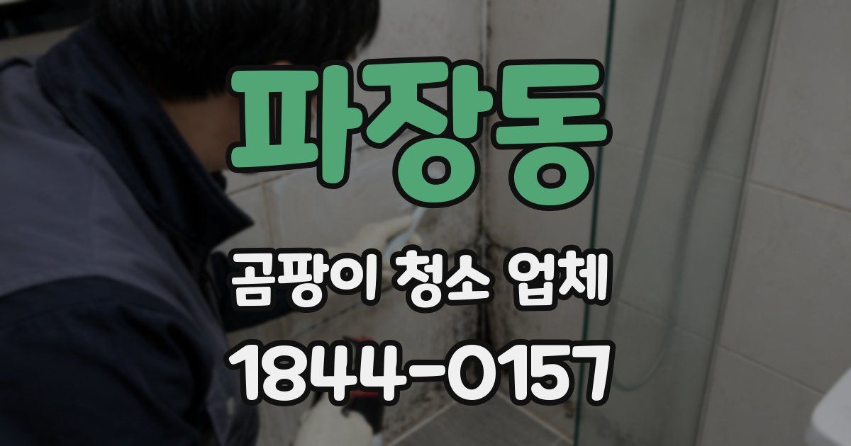 파장동 곰팡이 청소 업체