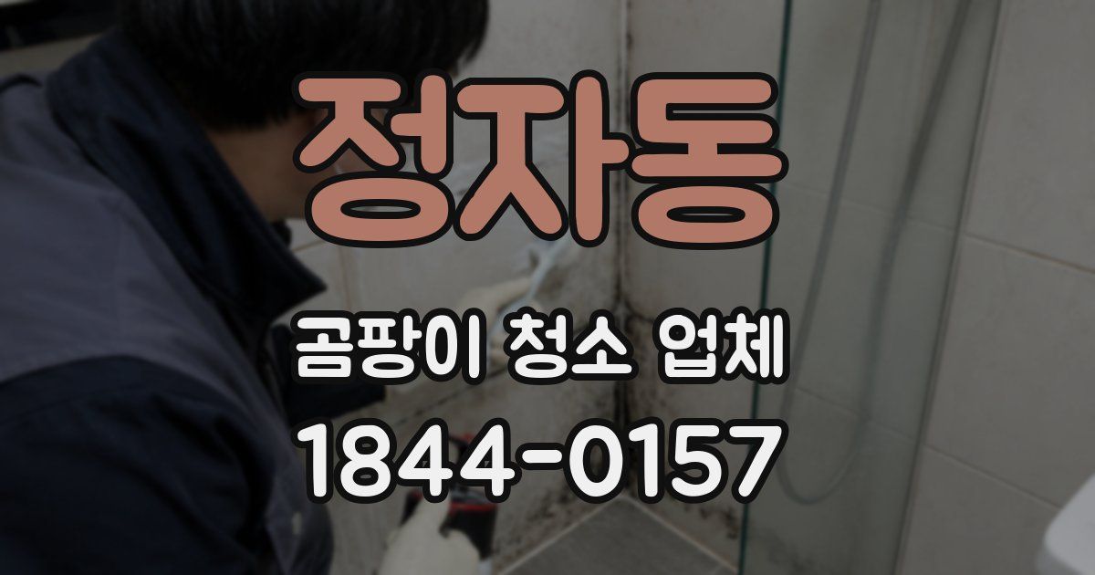 정자동 곰팡이 청소 업체