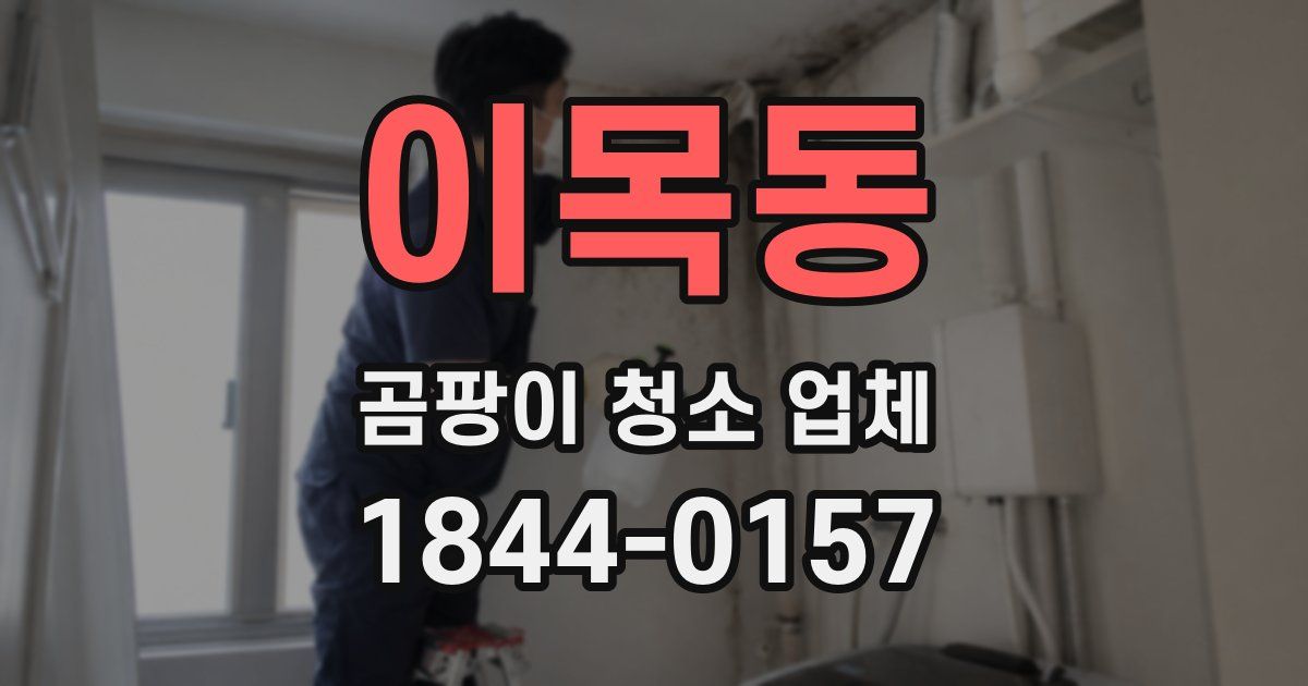 이목동 곰팡이 청소 업체