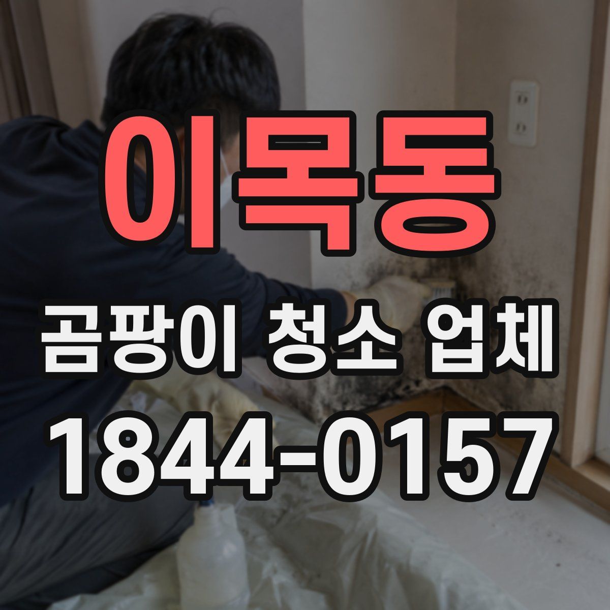 이목동 곰팡이 청소 업체