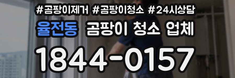 율전동 곰팡이 청소 업체