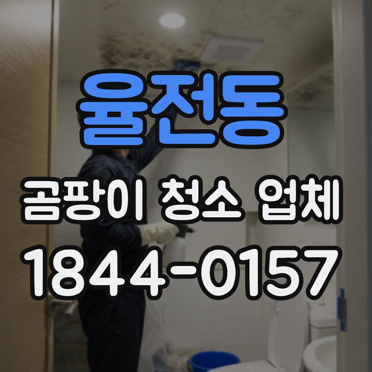 율전동 곰팡이 청소 업체