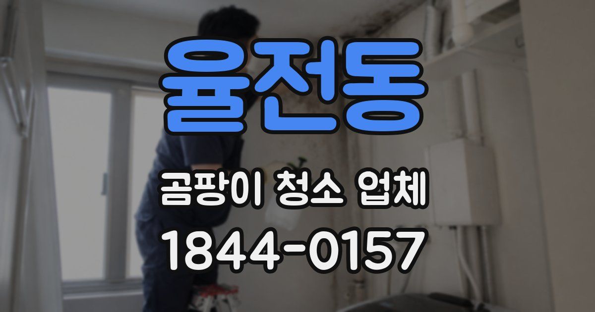 율전동 곰팡이 청소 업체