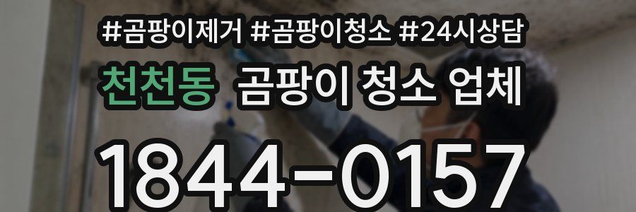 천천동 곰팡이 청소 업체