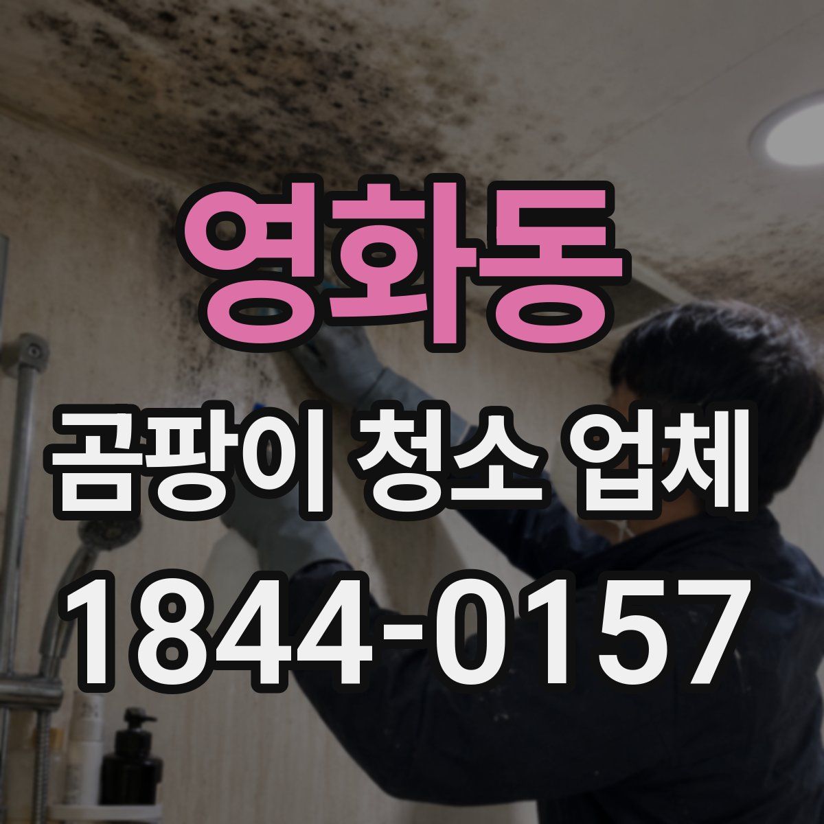 영화동 곰팡이 청소 업체