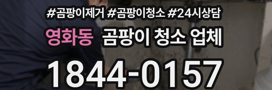 영화동 곰팡이 청소 업체