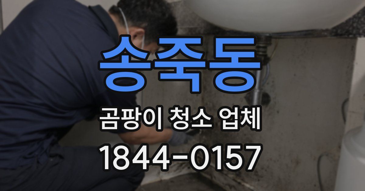 송죽동 곰팡이 청소 업체