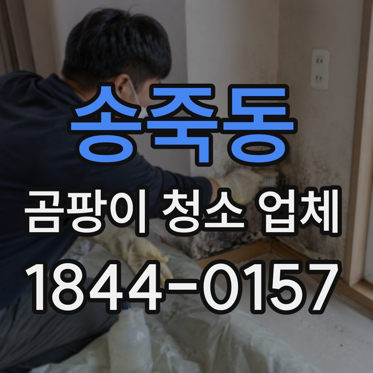 송죽동 곰팡이 청소 업체