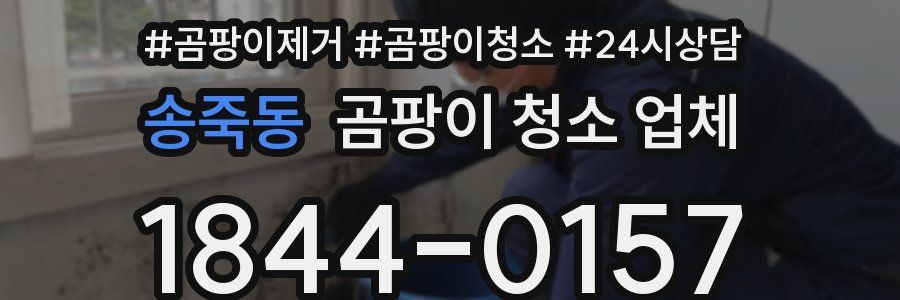 송죽동 곰팡이 청소 업체