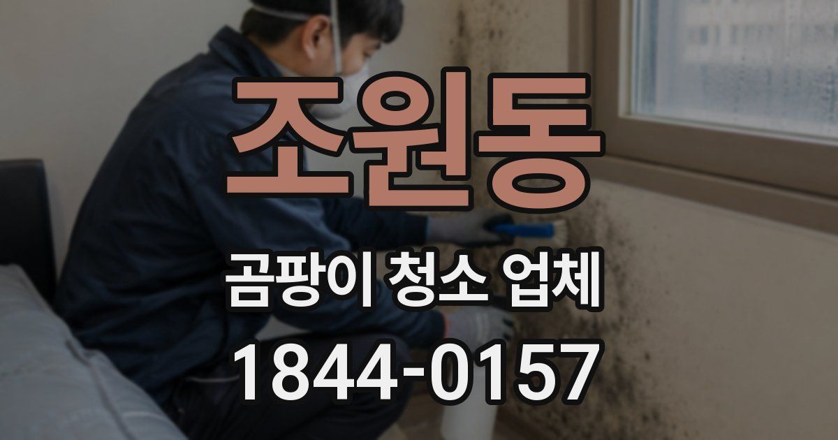 조원동 곰팡이 청소 업체