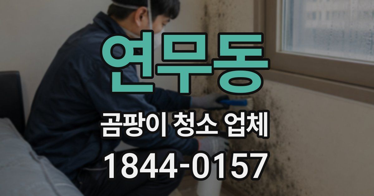 연무동 곰팡이 청소 업체