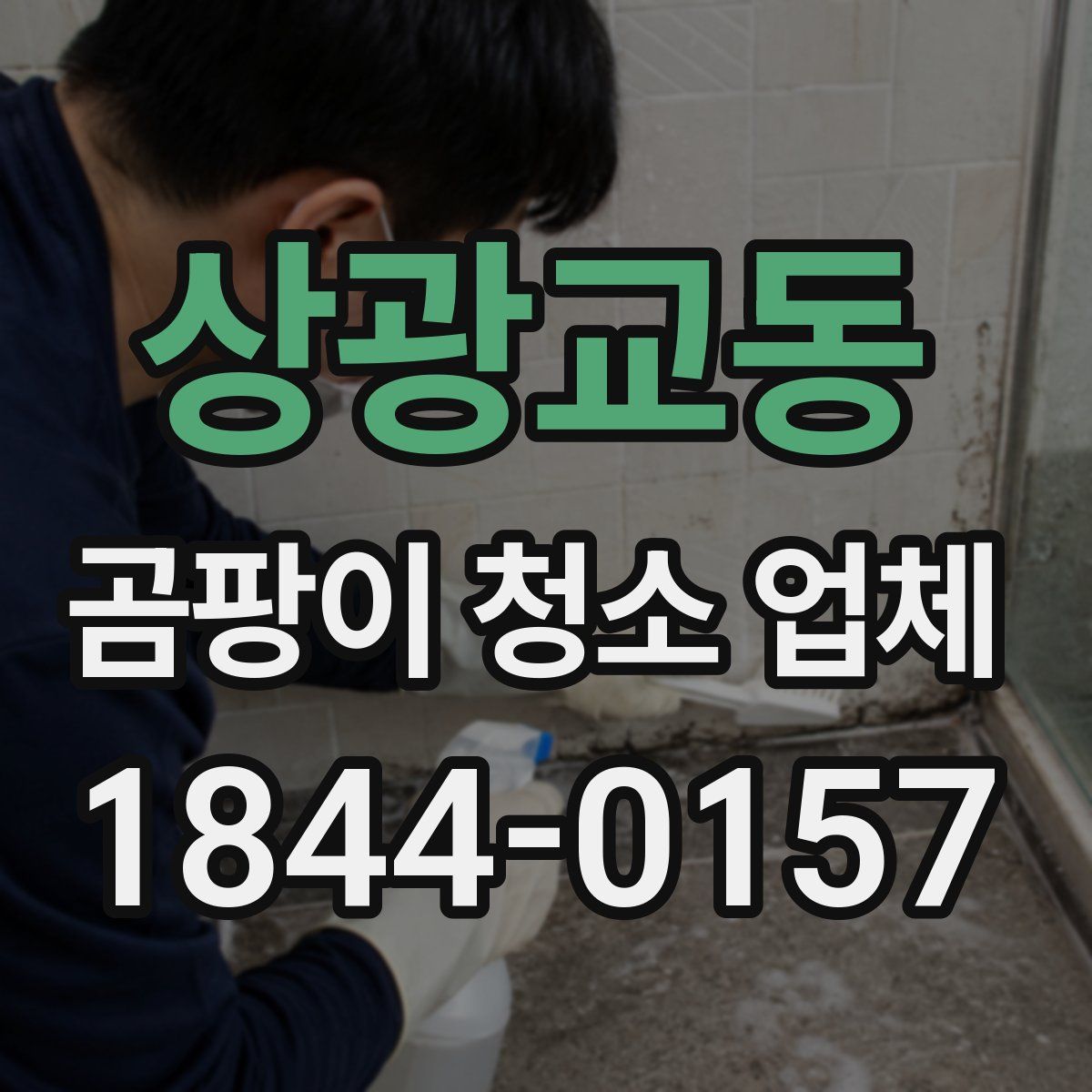 상광교동 곰팡이 청소 업체