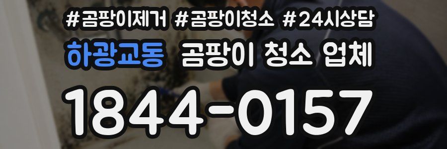 하광교동 곰팡이 청소 업체