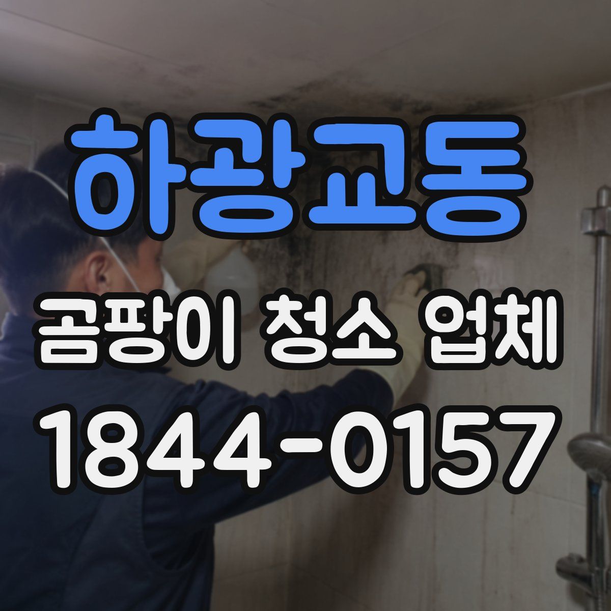하광교동 곰팡이 청소 업체