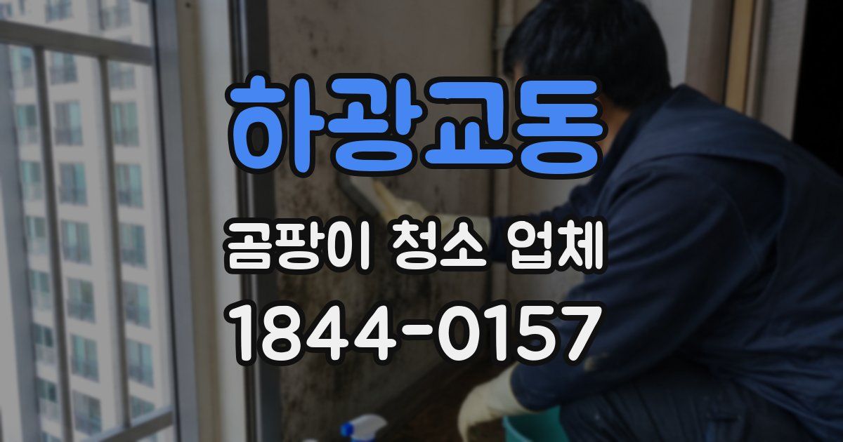 하광교동 곰팡이 청소 업체