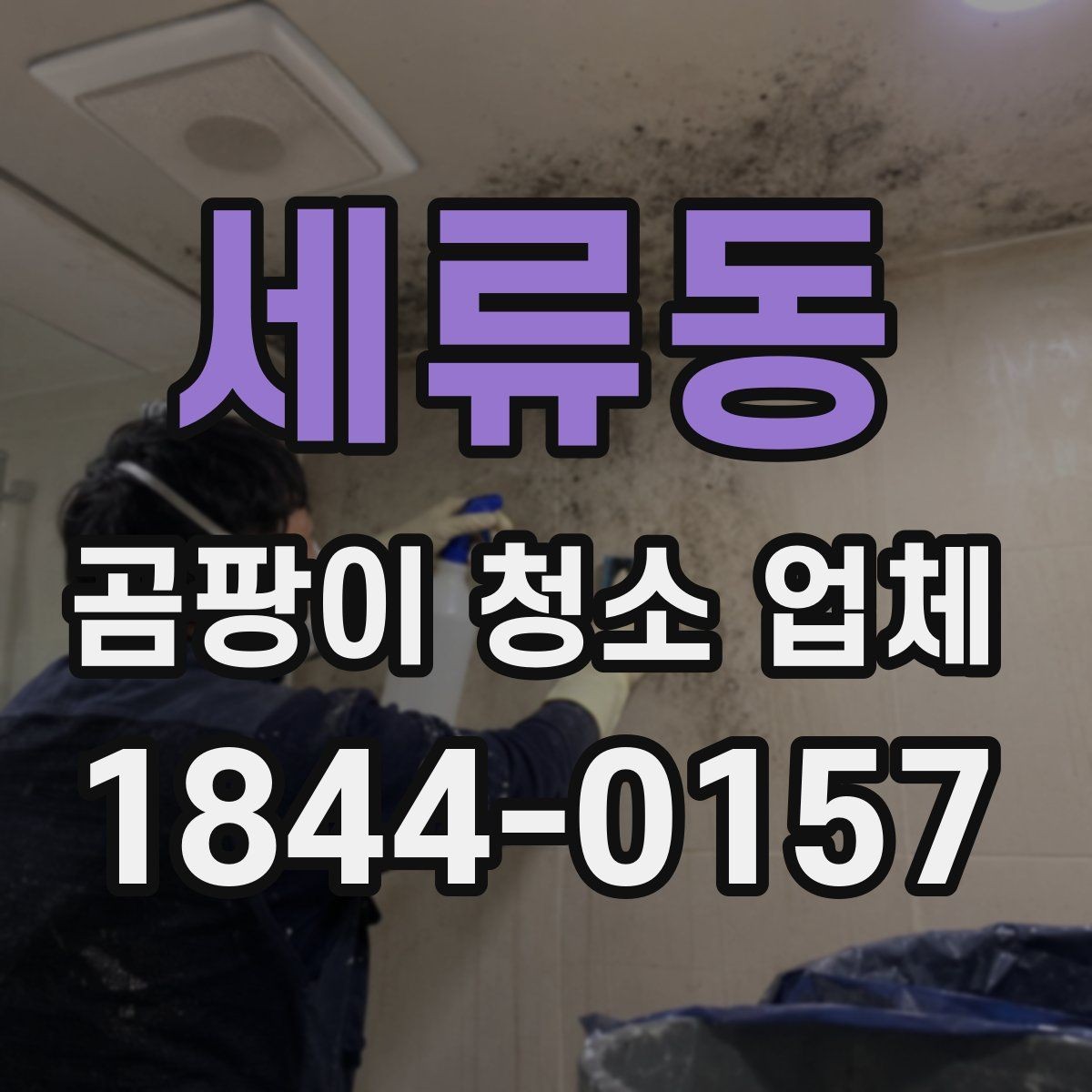 세류동 곰팡이 청소 업체 반복 오염을 줄이기 위한 점검 항목