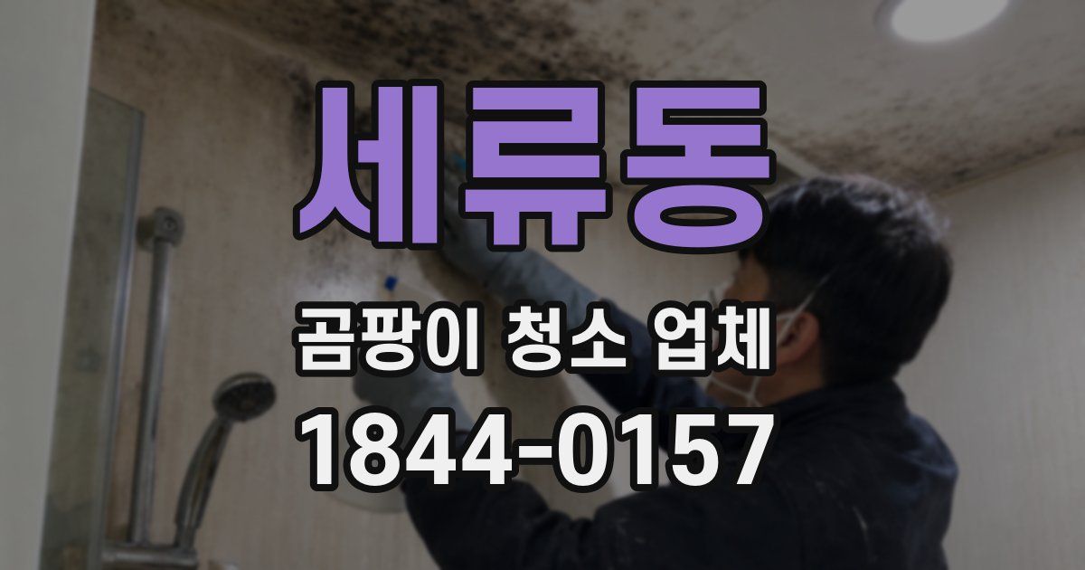 세류동 곰팡이 청소 업체