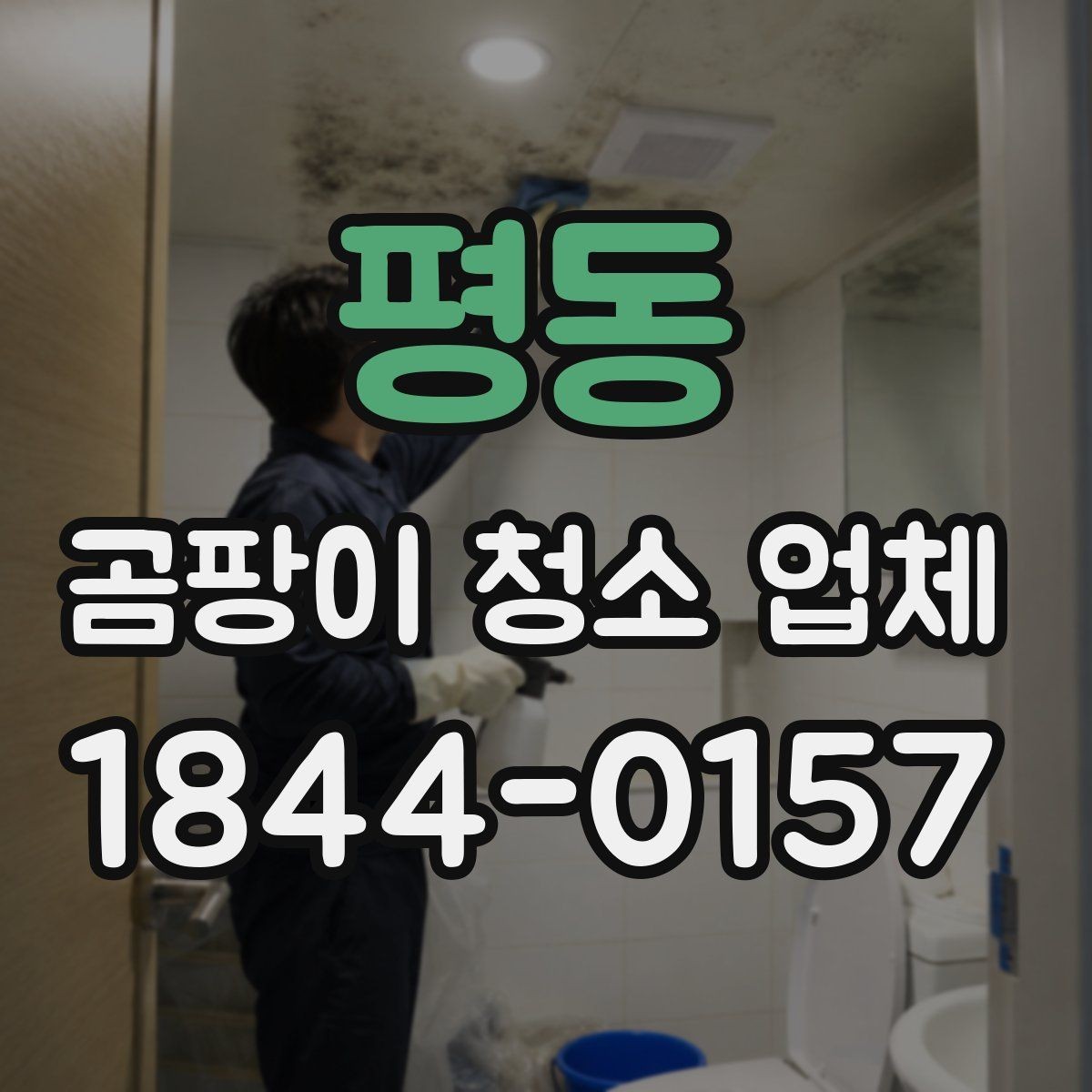 평동 곰팡이 청소 업체 실내 공기질 회복을 돕는 사후 관리