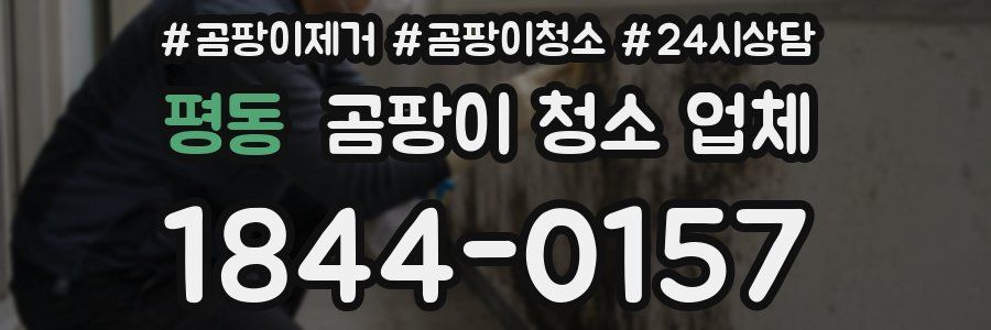 평동 곰팡이 청소 업체
