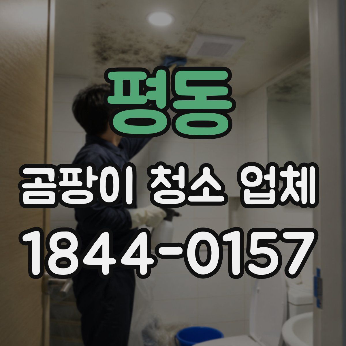 평동 곰팡이 청소 업체