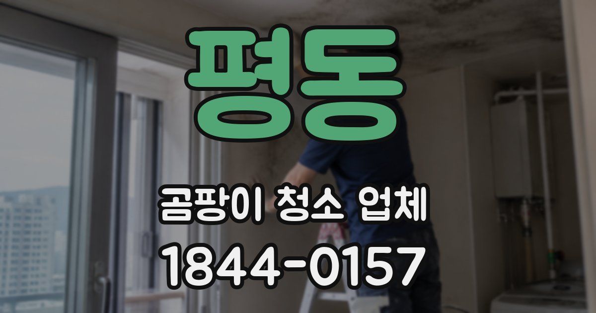 평동 곰팡이 청소 업체