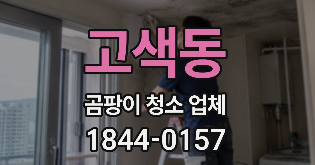 고색동 곰팡이 청소 업체