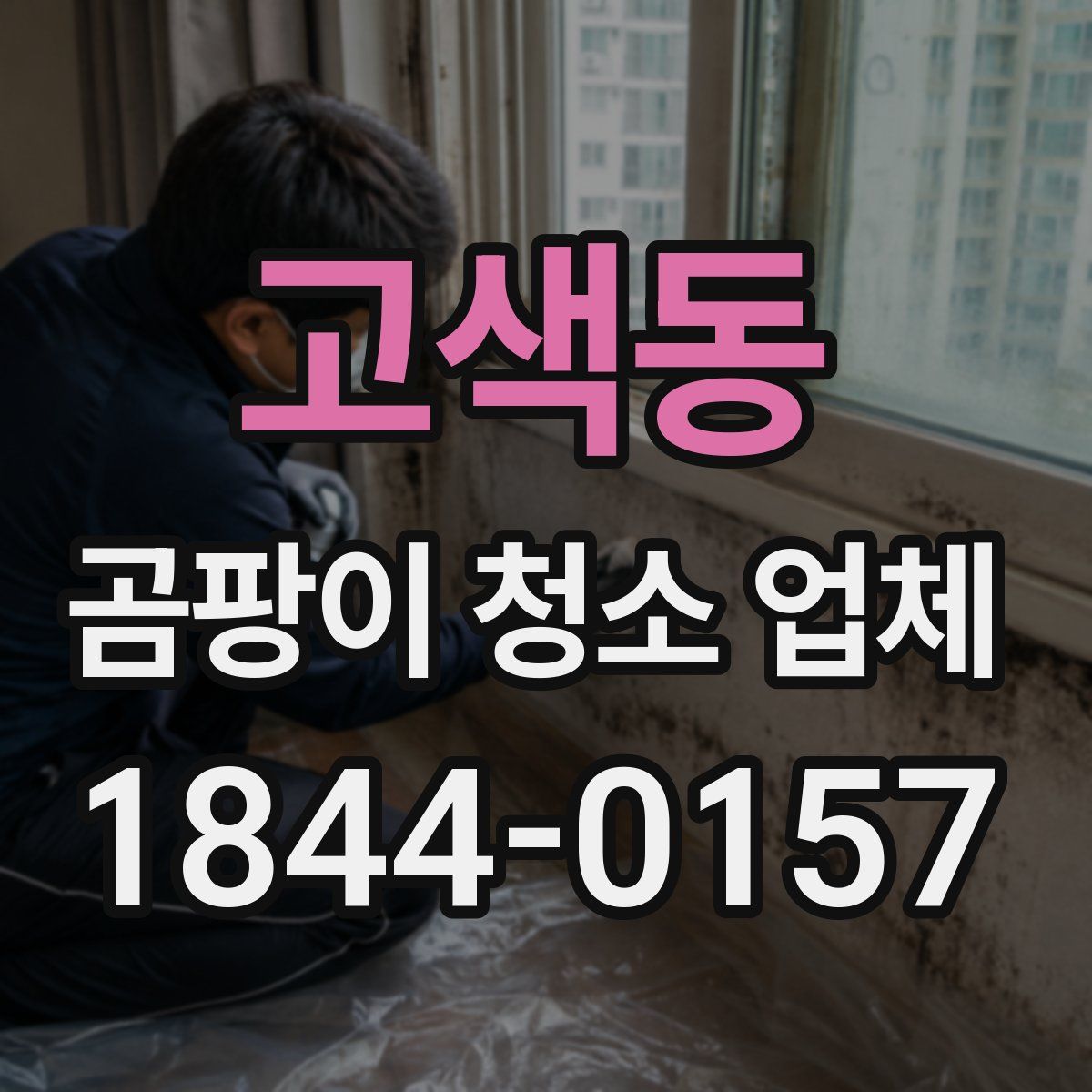 고색동 곰팡이 청소 업체
