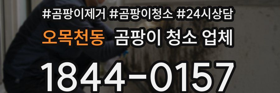 오목천동 곰팡이 청소 업체