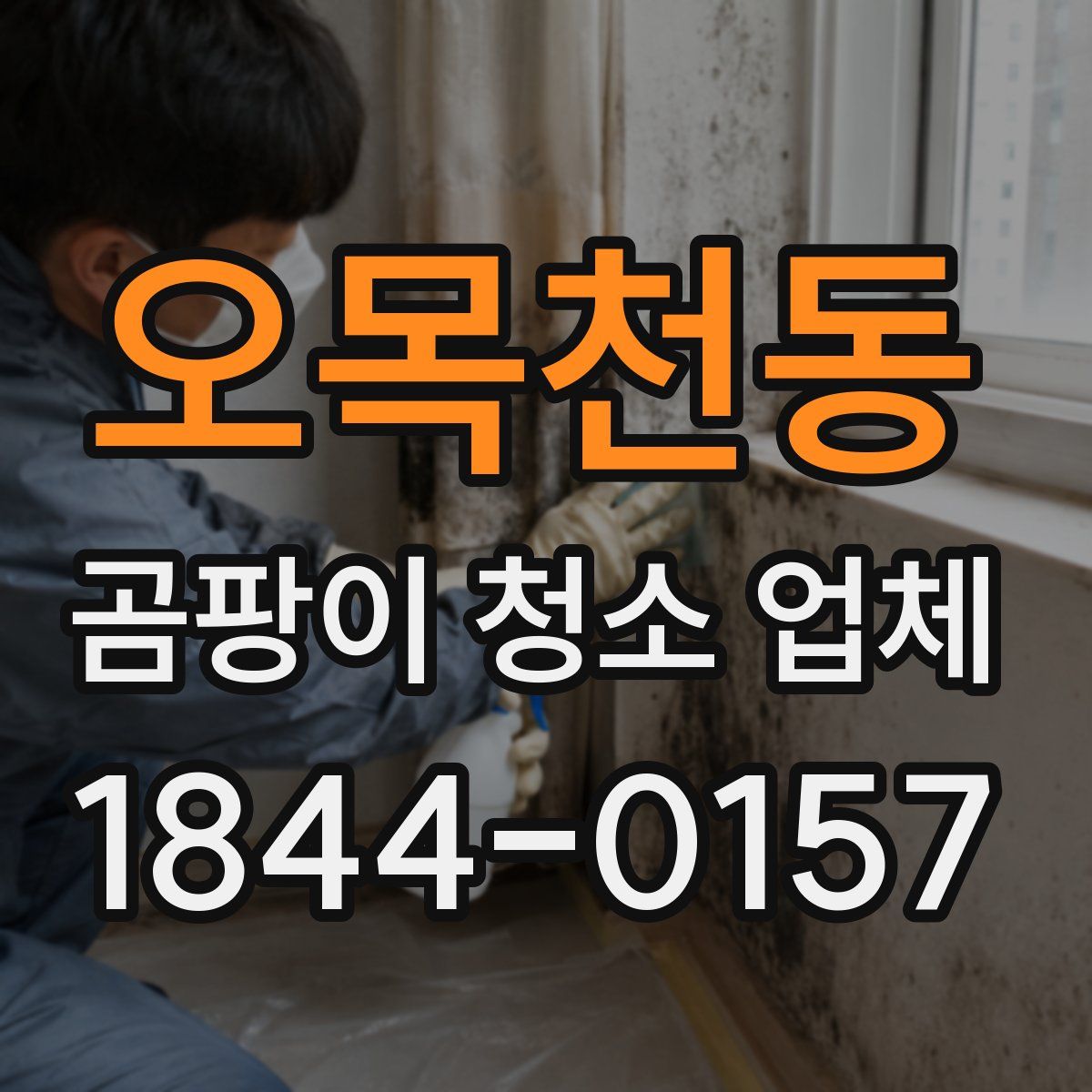 오목천동 곰팡이 청소 업체