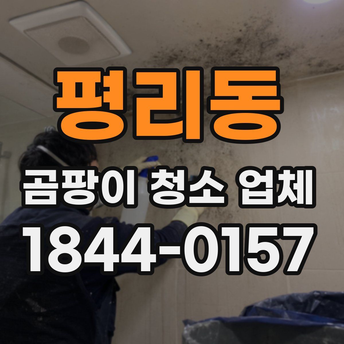평리동 곰팡이 청소 업체