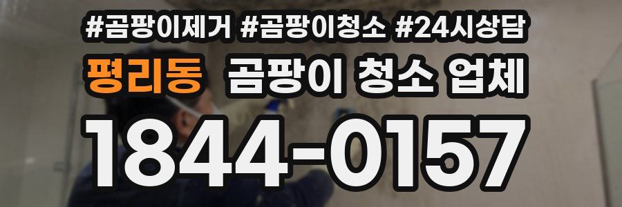 평리동 곰팡이 청소 업체