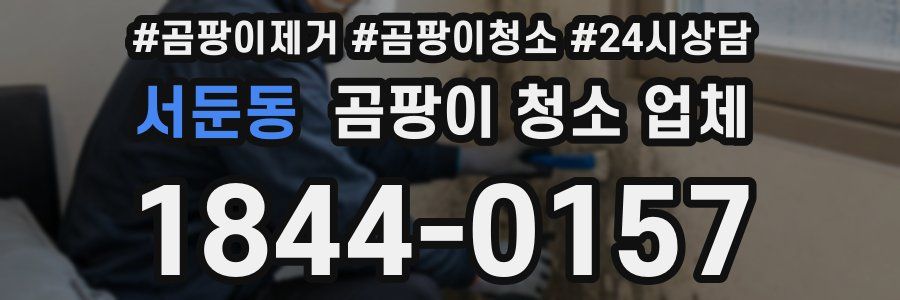 서둔동 곰팡이 청소 업체