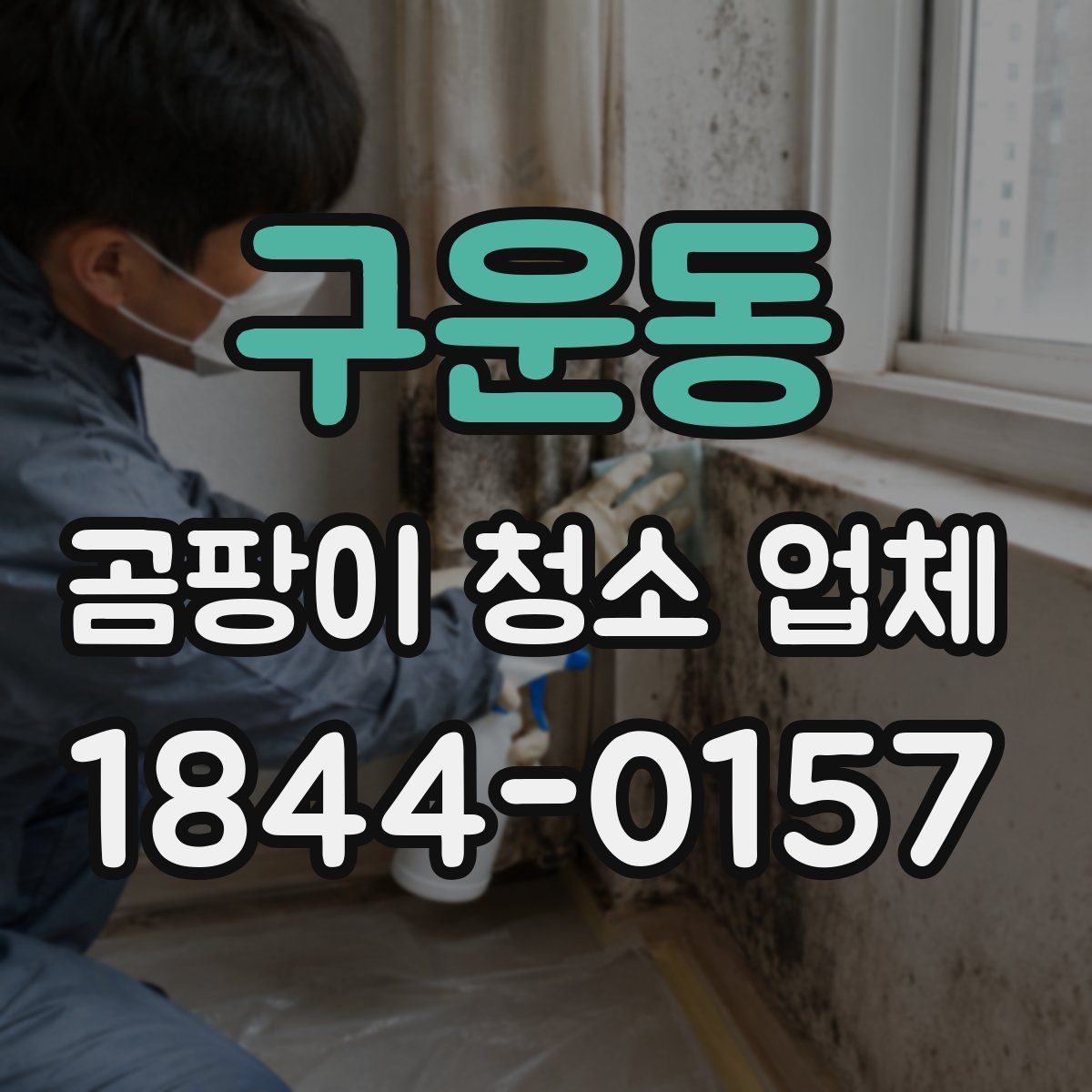 구운동 곰팡이 청소 업체