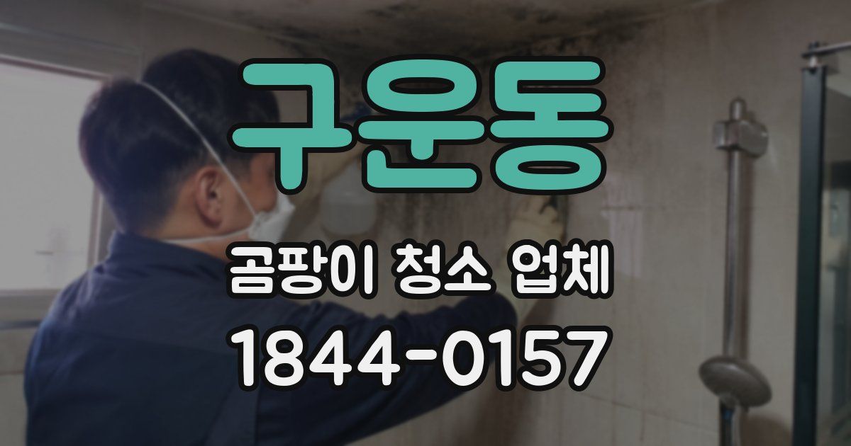 구운동 곰팡이 청소 업체