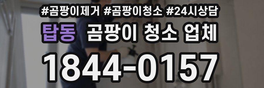 탑동 곰팡이 청소 업체