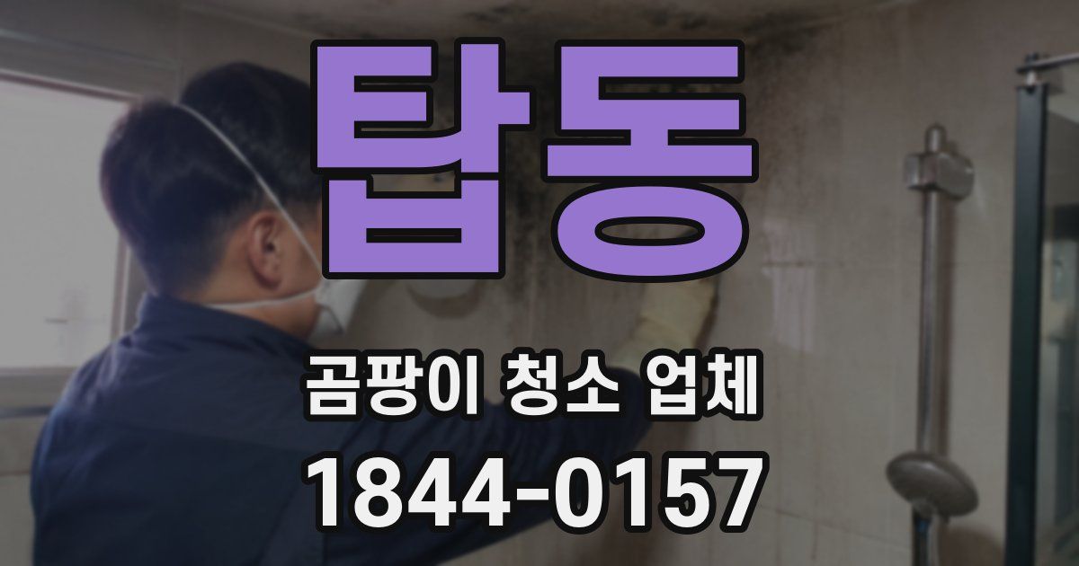 탑동 곰팡이 청소 업체